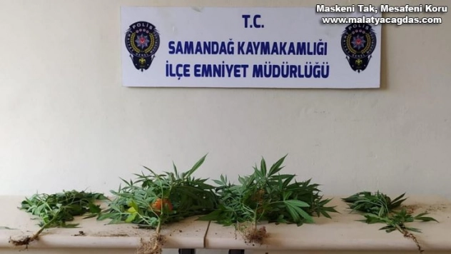 Samandağ'da uyuşturucu operasyonu: 2 gözaltı