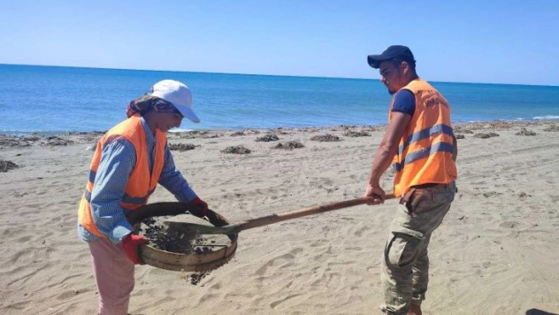 Samandağ sahilinin 12 kilometresi petrol atıklarından temizlendi