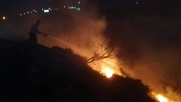 Samandağ'da bitki örtüsü yangını