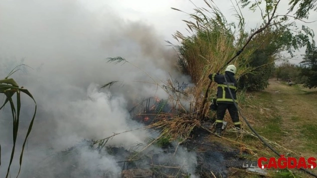 Samandağ'da sazlık yangını