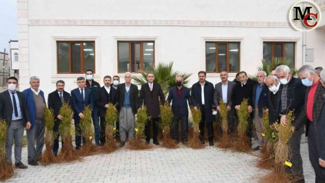 Samsat'ta 60 bin adet nar fidanı dağıtıldı