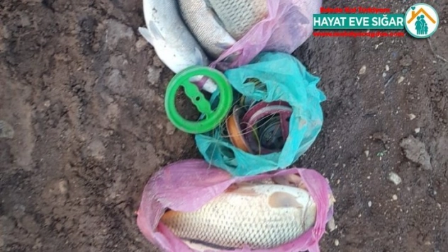 Samsat'ta balık avlayanlara göz açtırılmıyor
