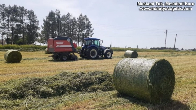 Samsat'ta modern tekniklerle yem bitkileri üretiliyor