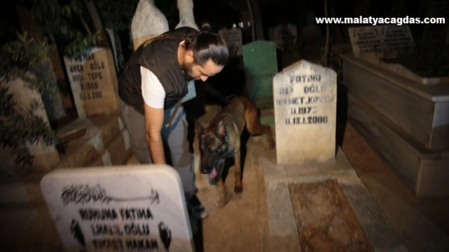 Şanlıurfa'da 483 polisle eş zamanlı uygulama