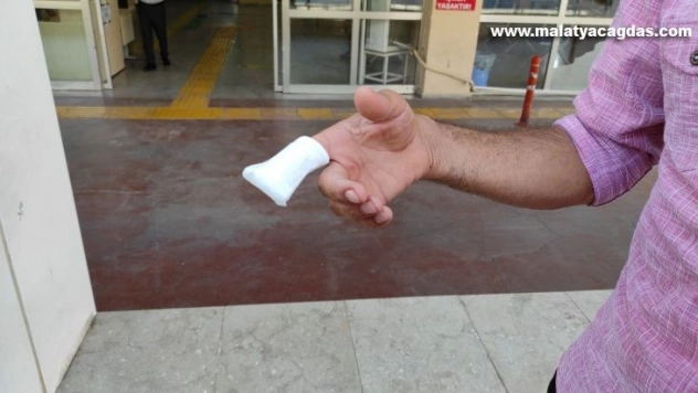 Şanlıurfa'da acemi kasaplar hastanelik oldu