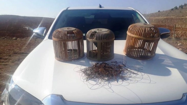 Şanlıurfa'da kaçak avcılara ceza yağdı