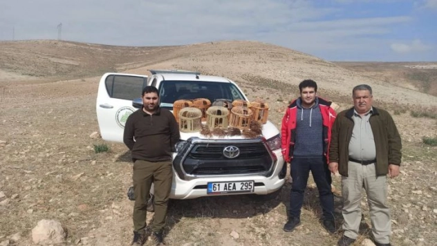 Şanlıurfa'da kaçak avlanan 7 kişiye işlem yapıldı