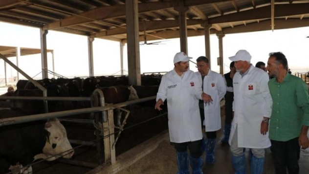 Şanlıurfa'da kent sorunlarına neşter vuruluyor