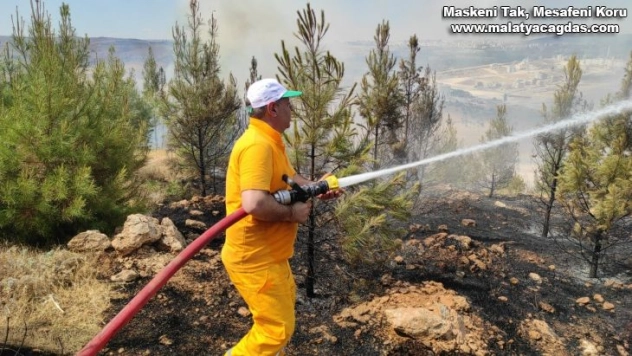 Şanlıurfa'da orman yangını