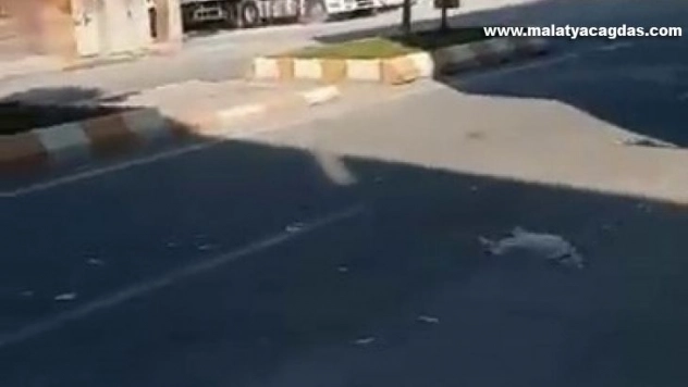 Şanlıurfa'da patlayan elektrik trafosu alev topuna döndü