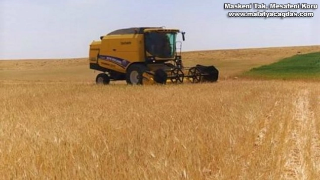 Şanlıurfa'da sezonun ilk arpa hasadı yapıldı