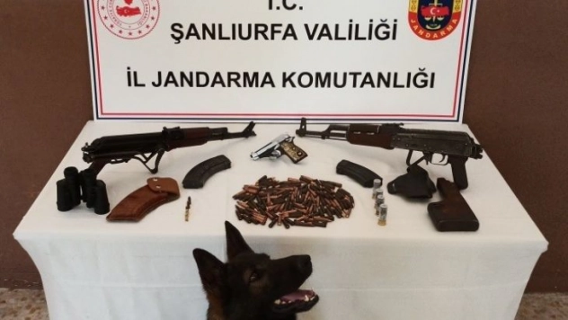 Şanlıurfa'da silah kaçakçılığı operasyonu: 2 gözaltı