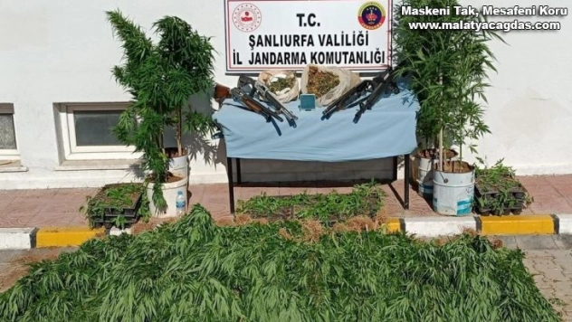 Şanlıurfa'da uyuşturucu operasyonu: 3 tutuklama