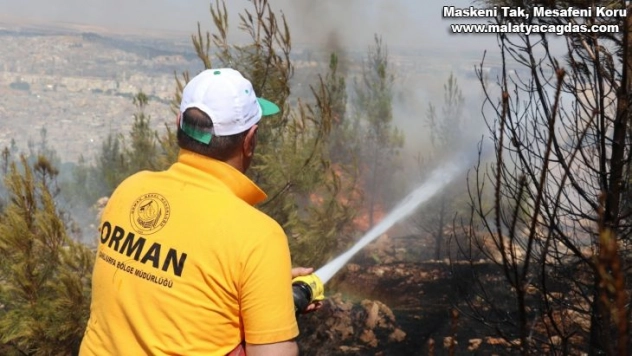Şanlıurfa'daki orman yangını kontrol altına alındı