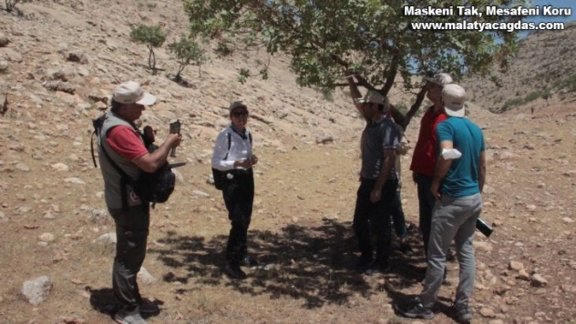 Şanlıurfa'nın bozkırlarının biyolojik yapısı tanıtıldı