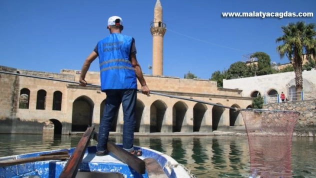 Şanlıurfa'nın saklı cenneti Halfeti'de kapsamlı temizlik