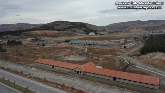 Saraya at yetiştirilmişti, çalışmalar hızla sürüyor