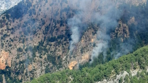 Sarp arazide çıkan orman yangınını kontrol altına alma çalışmaları sürüyor