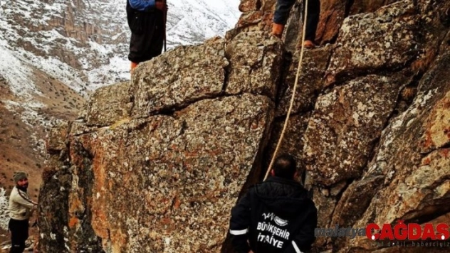 Sarp kayalıklarda mahsur kalan 2 çoban ve 6 koyun kurtarıldı