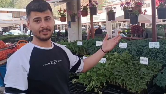 Sebze fidelerine talep arttı