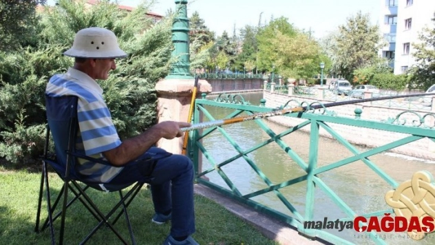 Şehir merkezinde olta keyfi