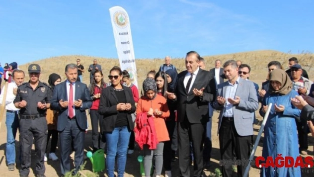 Şehit Seher Yaşar hatıra ormanında ilk fidanlar