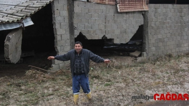 Sel ahırları yuttu, horozlar telef oldu