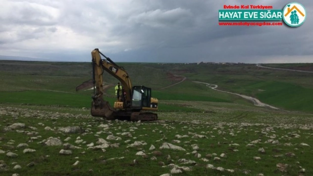 Sele kapılan hayvanları Bağlar Belediyesi kurtardı