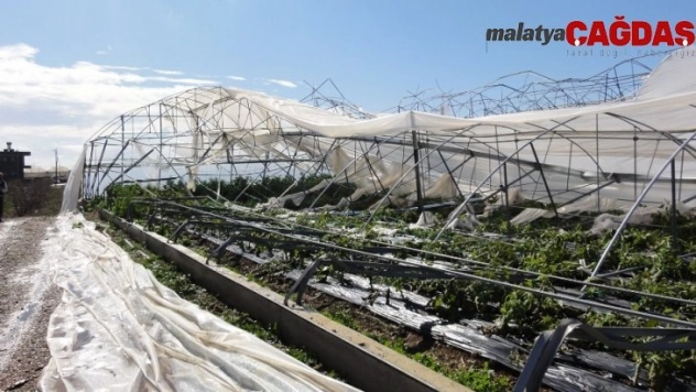 Seralar için sigorta zamanı