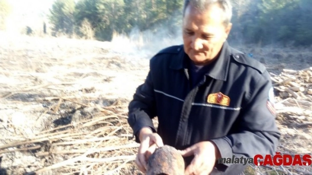 Kaplumbağayı itfaiye ekipleri kurtardı