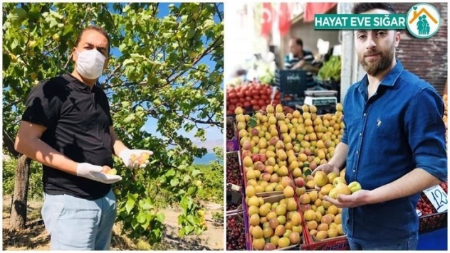 Sezonun İlk Kayısısı Tezgahlarda Yerini Aldı