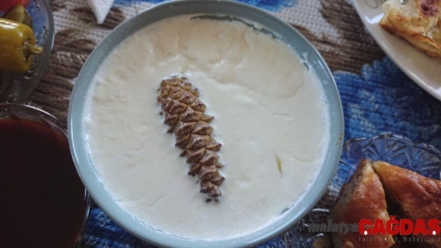 Şifa kaynağı Çukurca yoğurdu marka olma yolunda