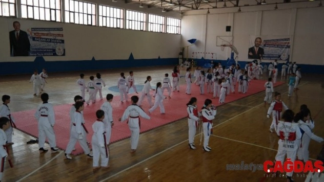 Silifke'de 'Minikler Taekwondo Turnuvası' düzenlendi