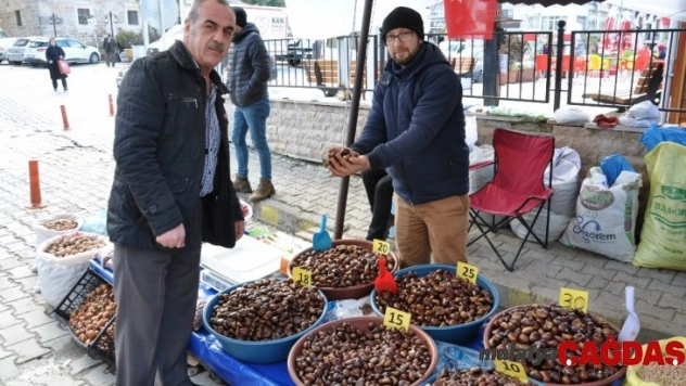 Simav kestanesine ilgi