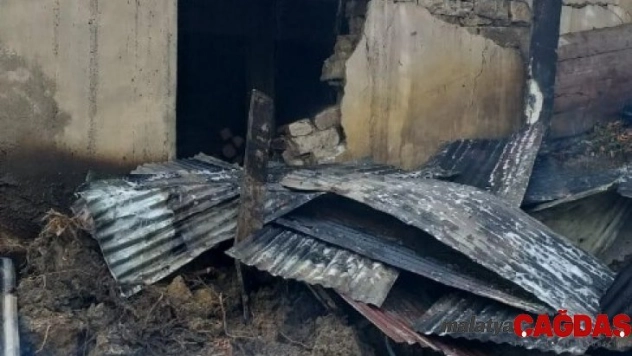 Sinop'ta ahır yangını: 5 büyükbaş hayvan telef oldu