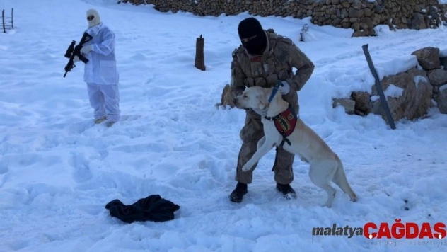Şırnak'ta kayıp çifti arama çalışmaları sürüyor