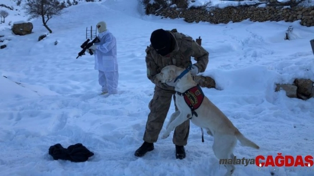 Şırnak'ta kayıp Süryani çifti arama çalışmaları devam ediyor