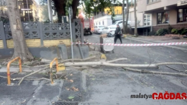 Şişli'de aşırı rüzgardan kırılan ağaç dalı, restoran çatısına düştü