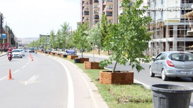 Sivas Belediyesi'nin ağaçlandırma çalışmaları devam ediyor