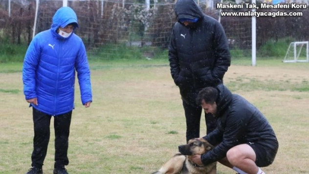 Sivasspor idmanına davetsiz misafir