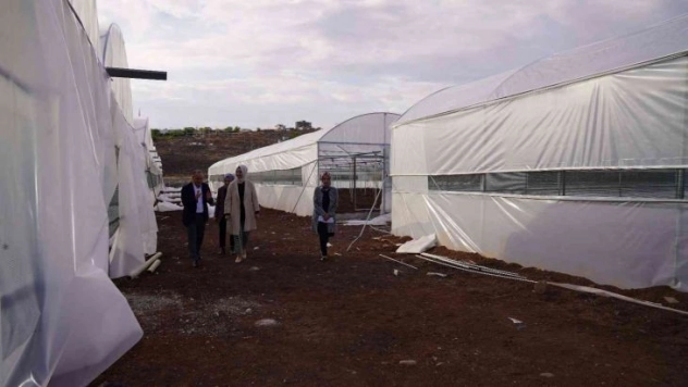 Siverek'ten mevsimlik göç seralarla önlenecek
