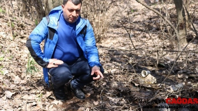 Sivrisineklerin taşıdığı virüslerden yılda 830 bin kişi hayatını kaybediyor