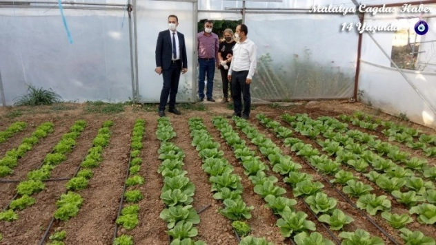 Sofralarımızdaki Doğal Lezzetlerin Sayısını Artırdık