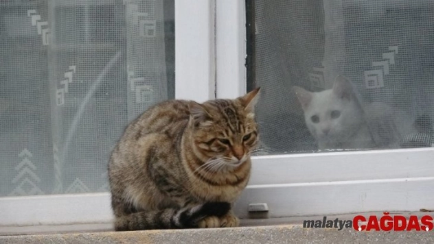 Soğuk havada aynı karede iki farklı yaşam