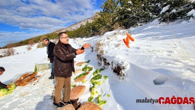 Sokak hayvanları için doğaya yem bırakıldı