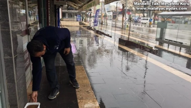 Sokak hayvanları için mama bırakıldı