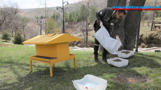 Sokak hayvanları için mesire alanlarına yem ve su bırakıldı