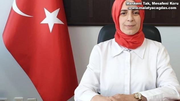 Sokak hayvanları için yeni yaşam alanı önerisi