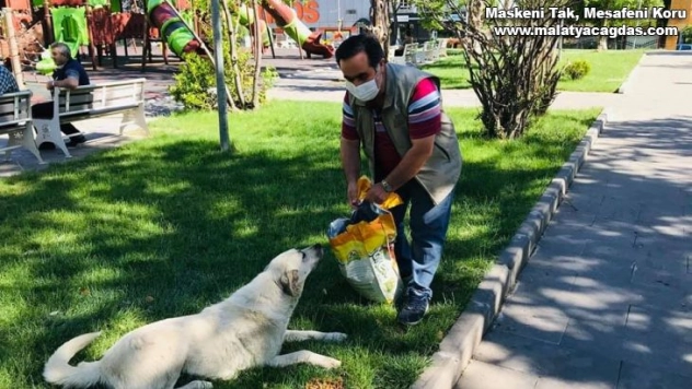 Sokak hayvanları kapanmada unutulmadı