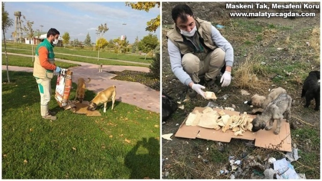 Sokak hayvanları unutulmuyor